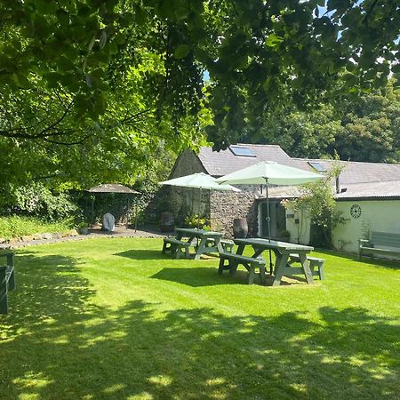 Randalstown Duneden Belle Glamping מראה חיצוני תמונה