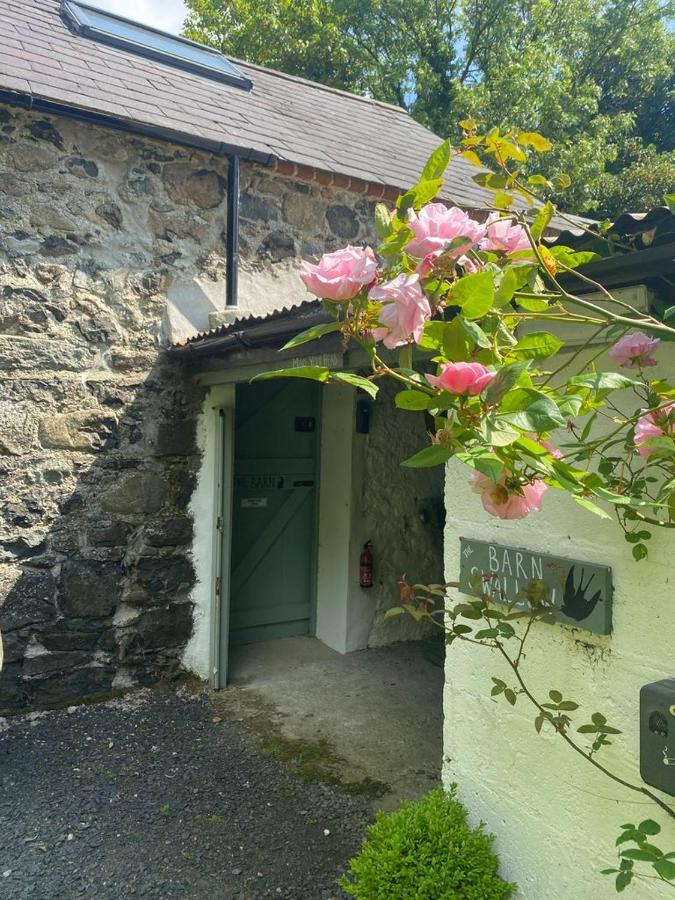 Randalstown Duneden Belle Glamping מראה חיצוני תמונה