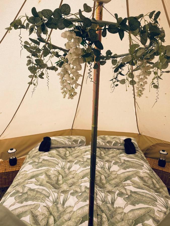 Randalstown Duneden Belle Glamping מראה חיצוני תמונה